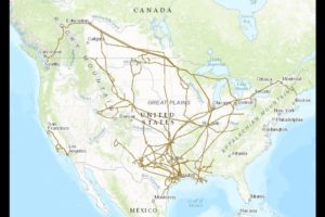 Which PipeLine Will be Next to Effect our WaterWays
